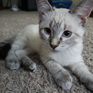 Meet your Posher, Rhonda